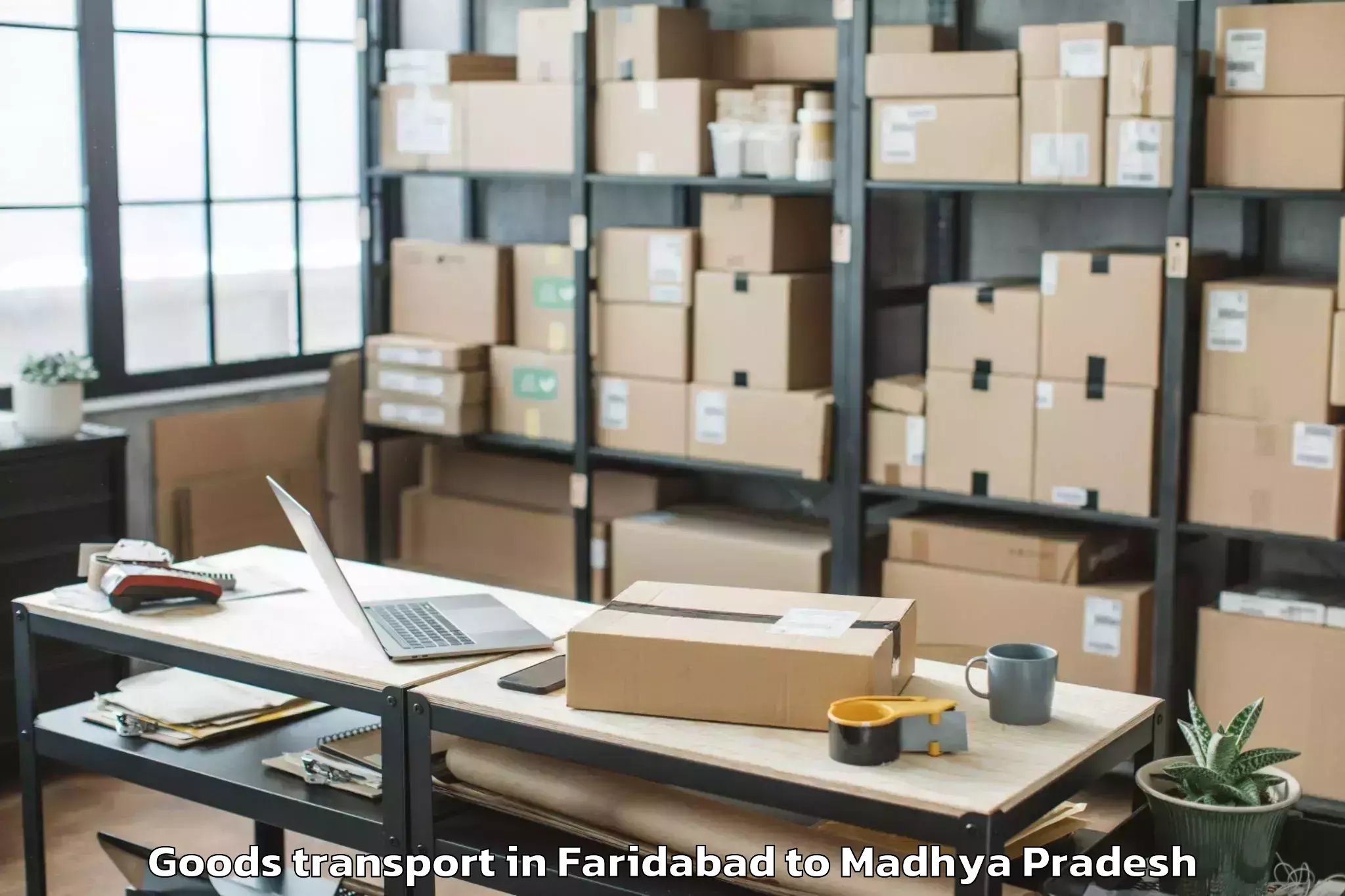 Trusted Faridabad to Malwanchal University Indore Goods Transport